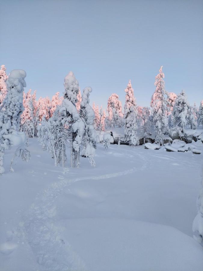 Villa Latvus Rovaniemi Exterior foto