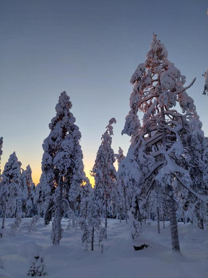 Villa Latvus Rovaniemi Exterior foto